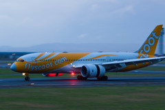 Wow ! FlyScoot !!