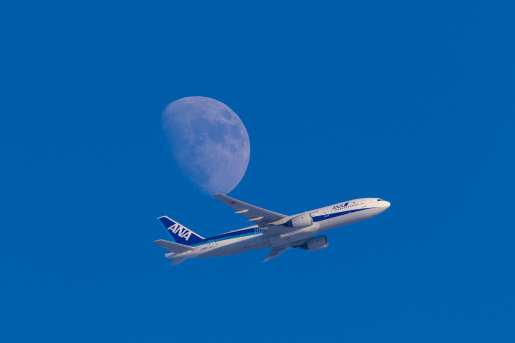 空と月と飛行機