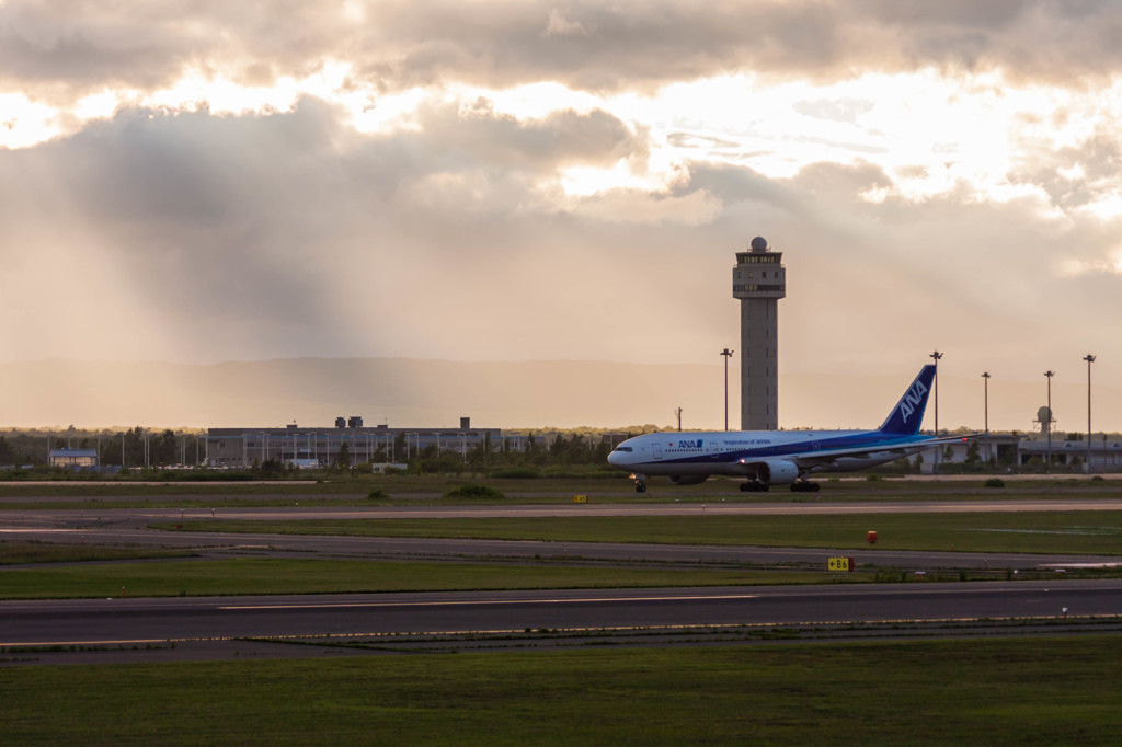 Sunshine of the ANA ...