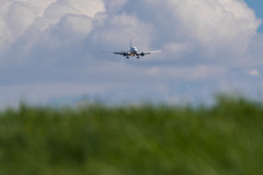 雲・飛行機・草