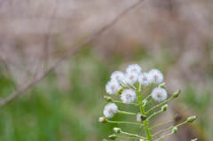 気持ち良さそう〜