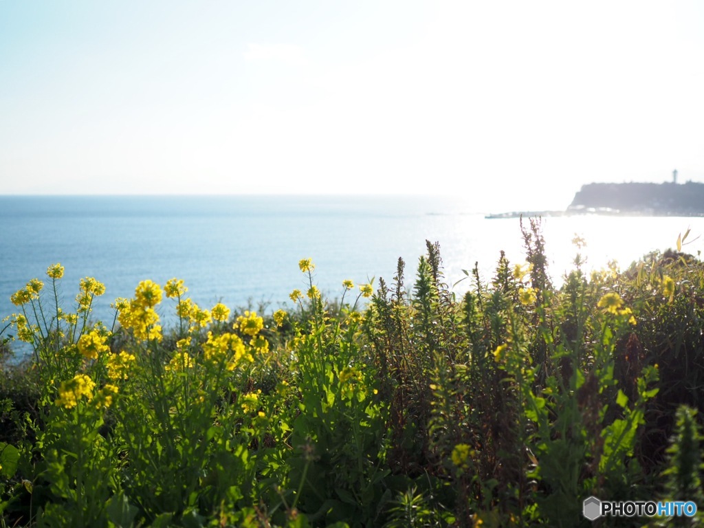 春はすぐそこに