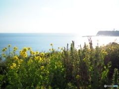 春はすぐそこに