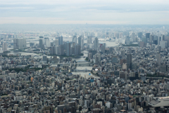上空からの景色