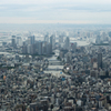 上空からの景色