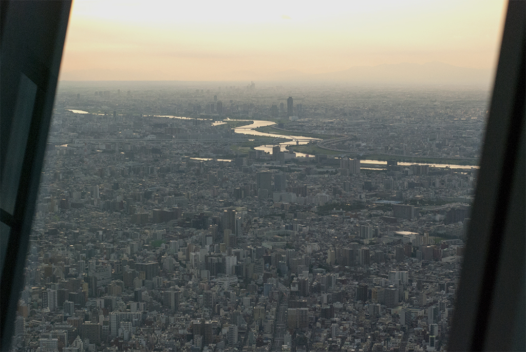 上空からの景色