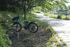 自転車のある風景
