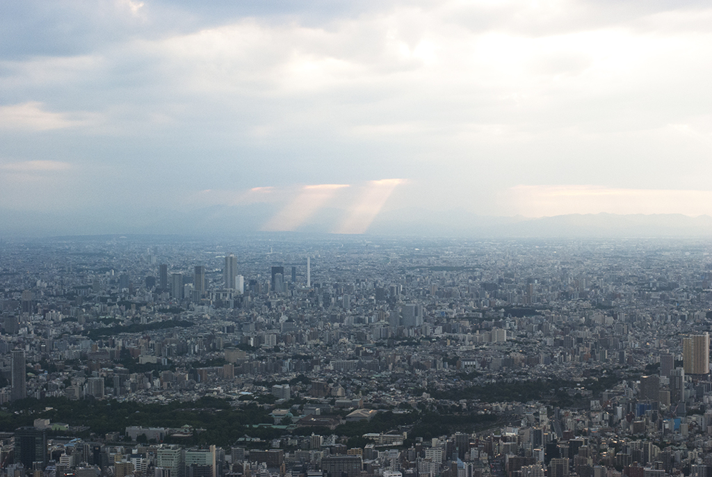 上空からの景色
