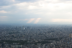 上空からの景色