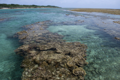 沖縄 黒島にて
