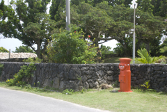 沖縄 黒島にて