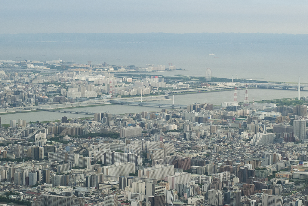 上空からの景色