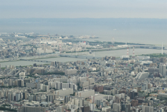 上空からの景色