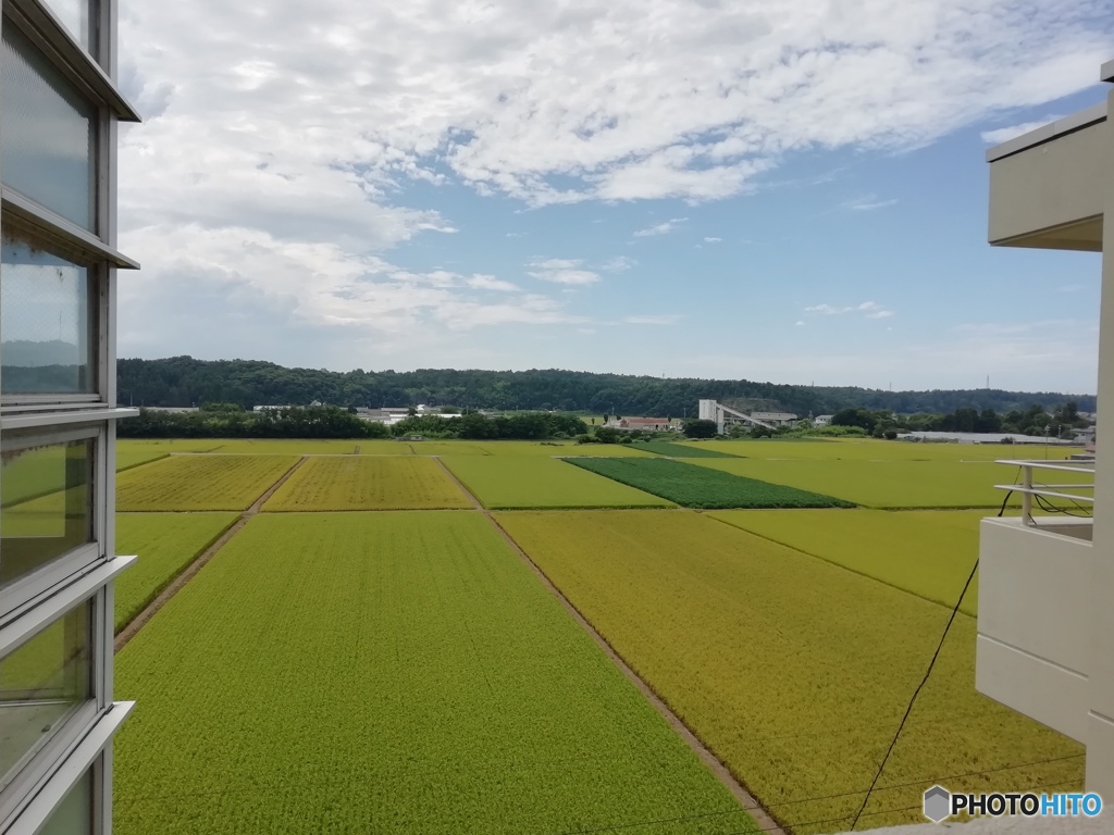 夏空と田園