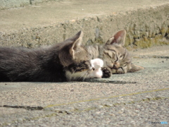 眠りました…