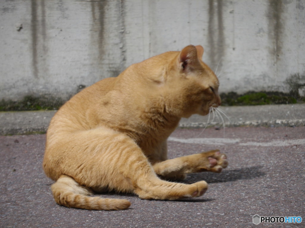 自分のでも○○いのか