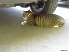 お帰り前に確認して…
