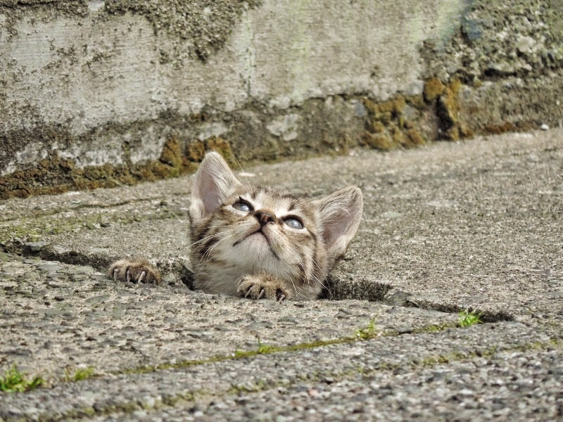 何か見つけた？