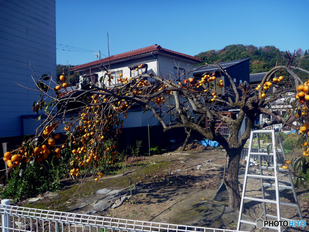 重たくてもう…無理