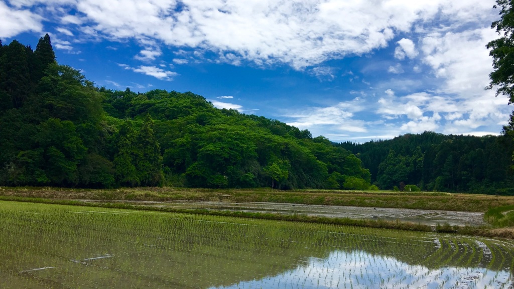 田園