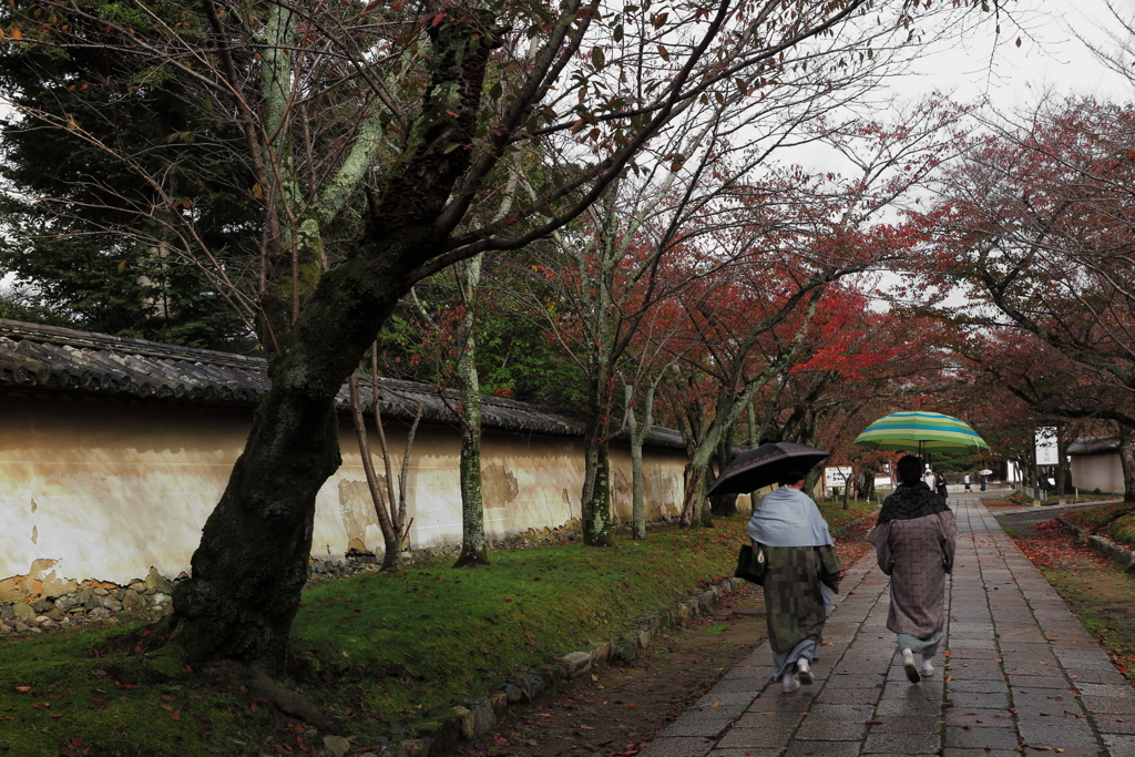 醍醐寺