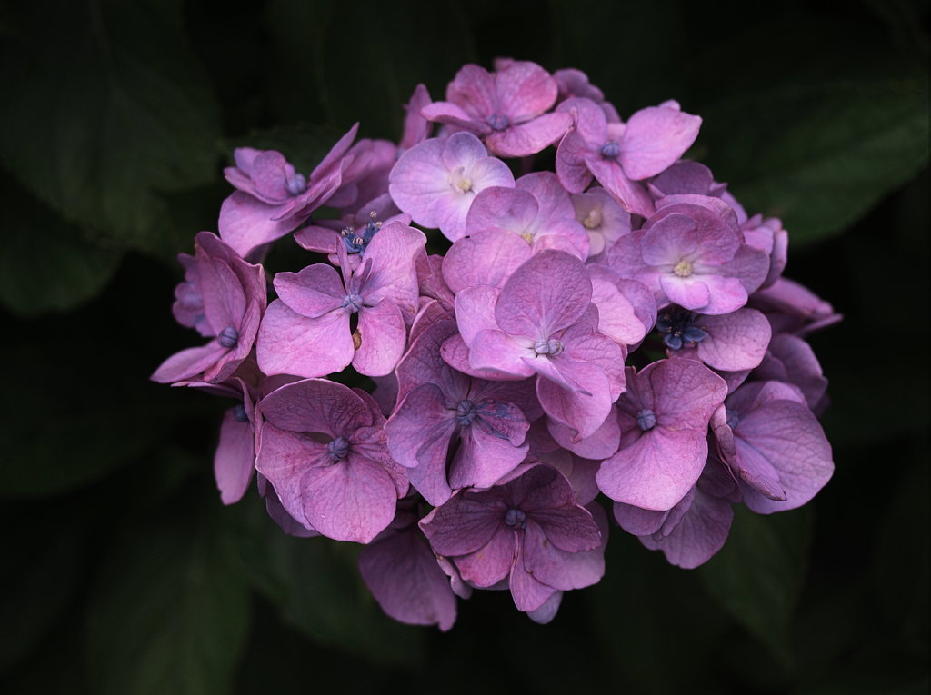 P6170298