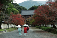 醍醐寺