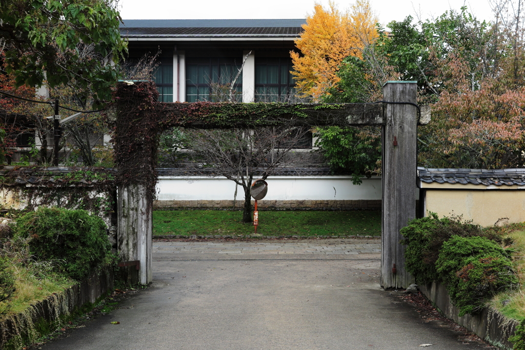 醍醐寺