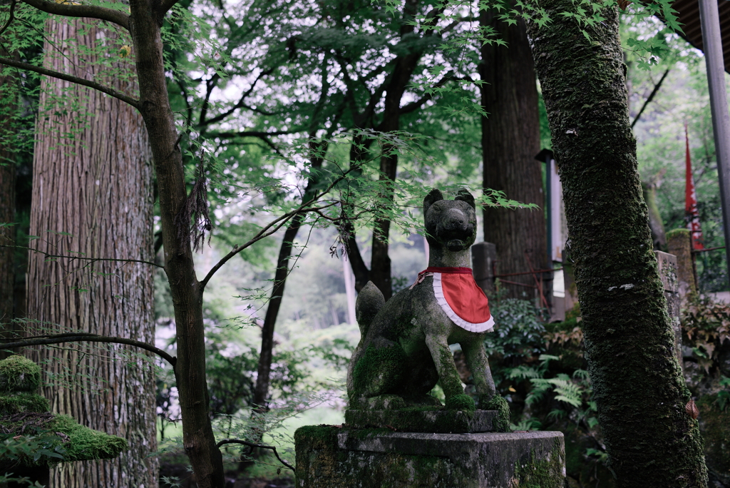 谷汲山華厳寺