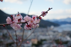 春。
