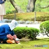 自然を守る者