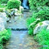 小川 in 兼六園②