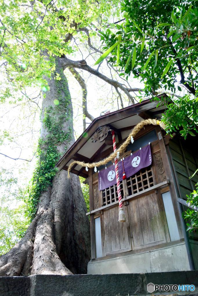 地元のお稲荷様