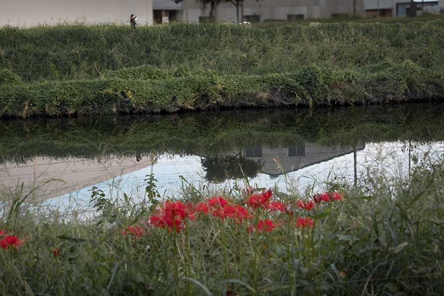 DSC05270. 川を挟んで手前と対岸