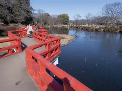 八つ綾折りの橋　P1060182