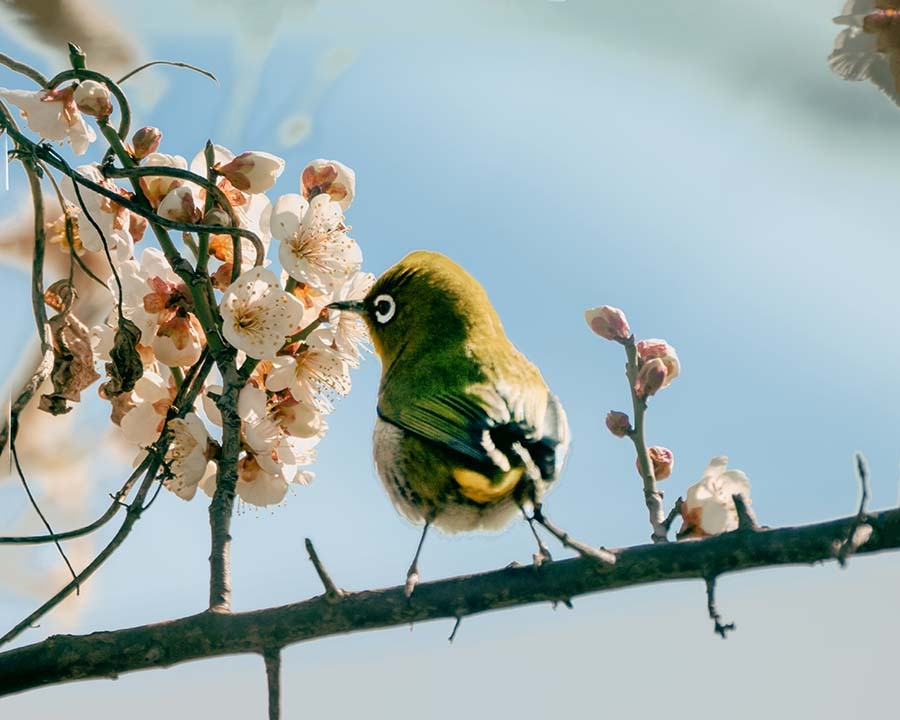 冬の陽 燦燦　DSC02622