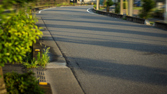 DSC08951. 朝の影法師