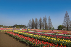 DSC04188 朝のあけぼの山公園 