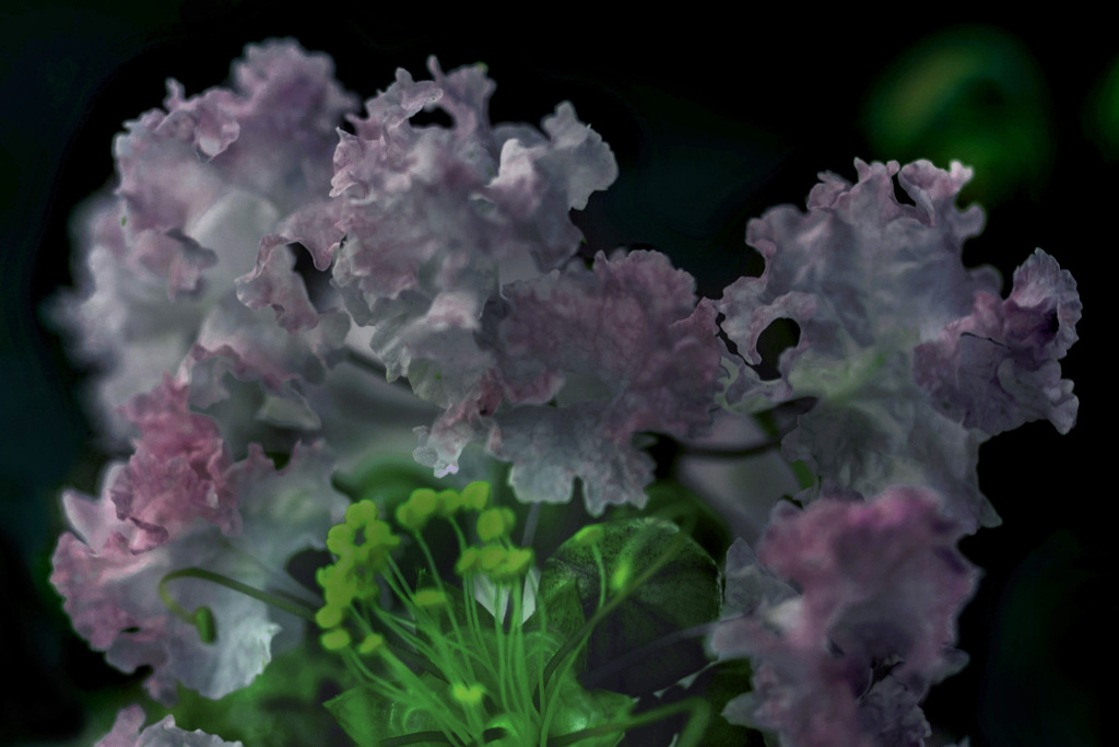 .DSC01353  サルスベリの妖精たち-19