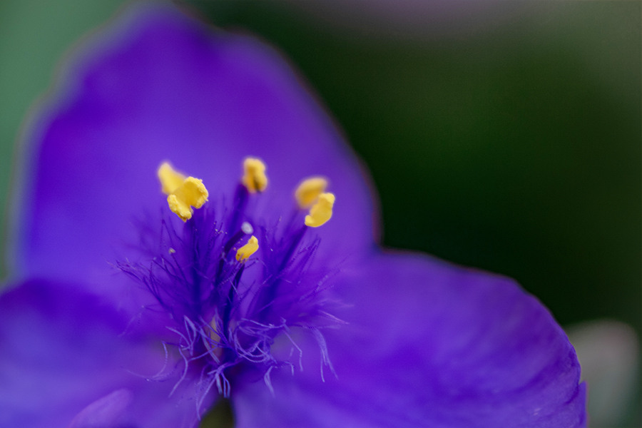 DSC08393.  此の糸何色？