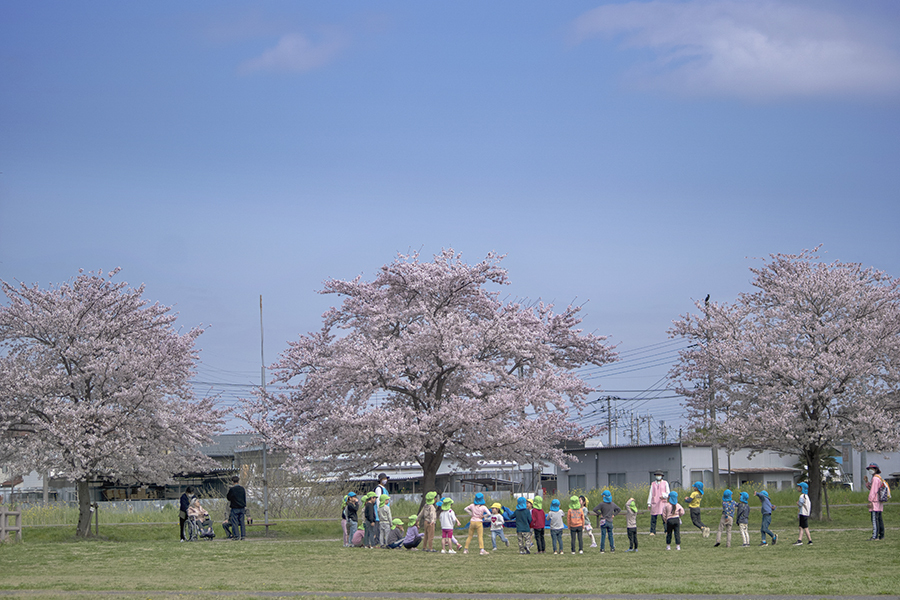DSC05423. 公園春もよう 