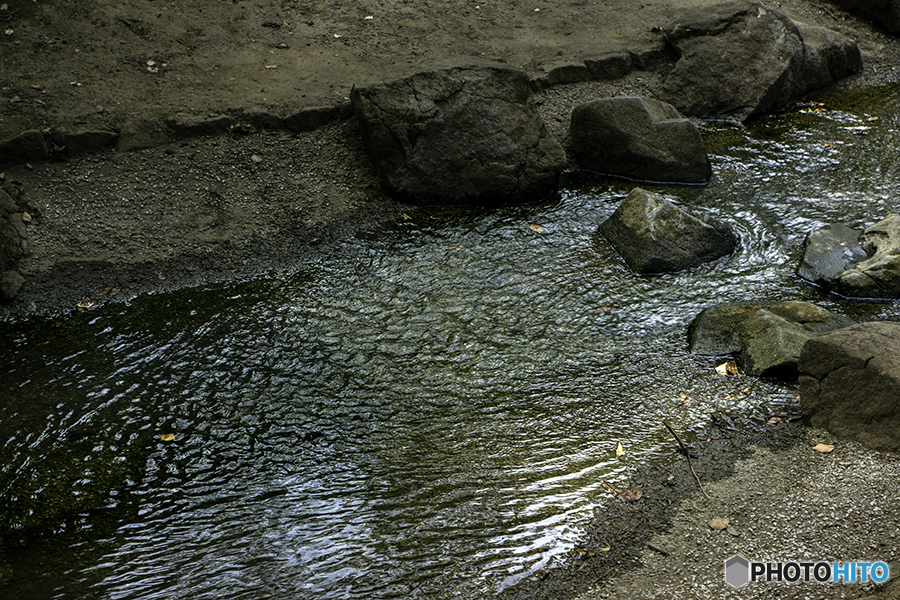 DSC06002 水面の表情 
