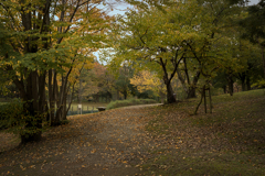 DSC09733. 公園の錦秋