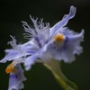 DSC01332 さようなら平成