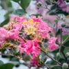 DSC02076. 秋近し