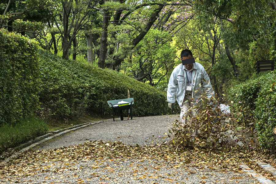 DSC00934. 吹き集め中jpg