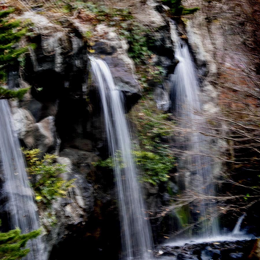 DSC05465. 白い糸