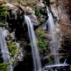 DSC05465. 白い糸