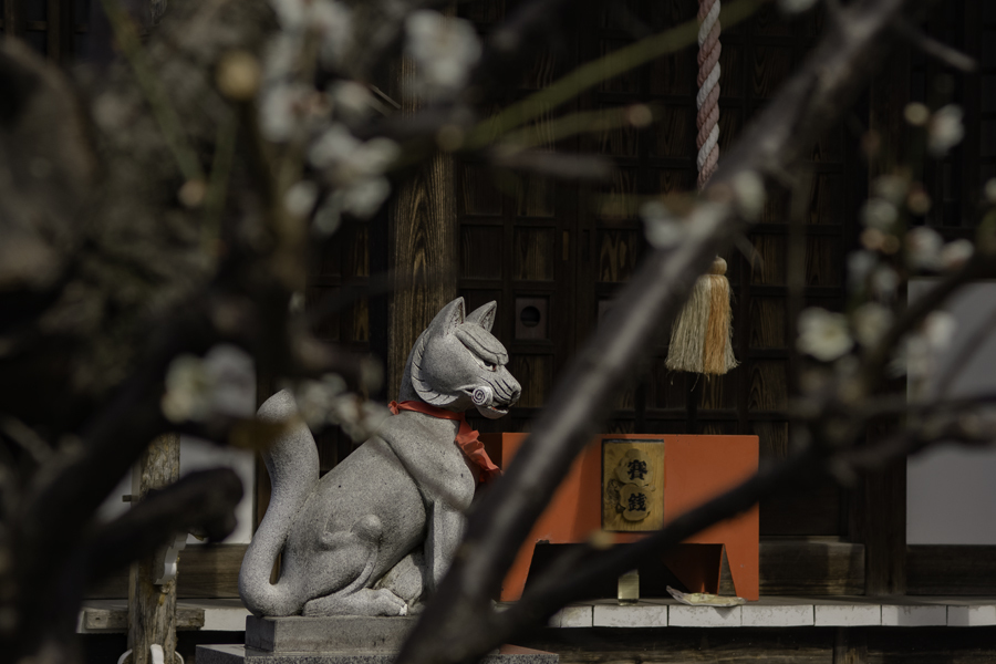 DSC02259　よく観察しますと子連れでした。