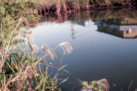 DSC03033-静かな河畔